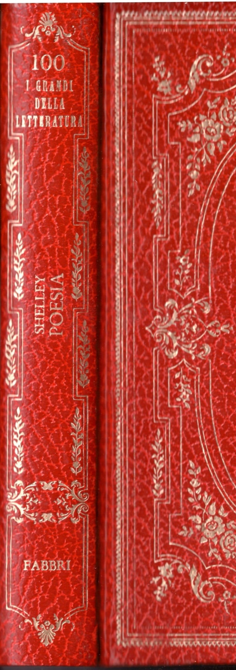 SHELLEY - POESIE