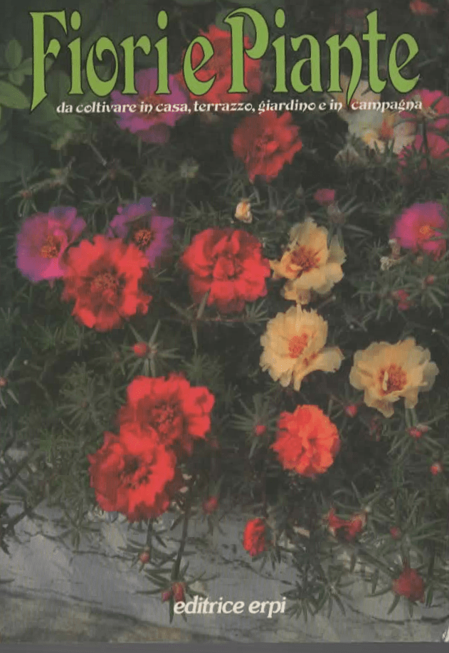 Fiori e Piante – editrice erpi (1983)