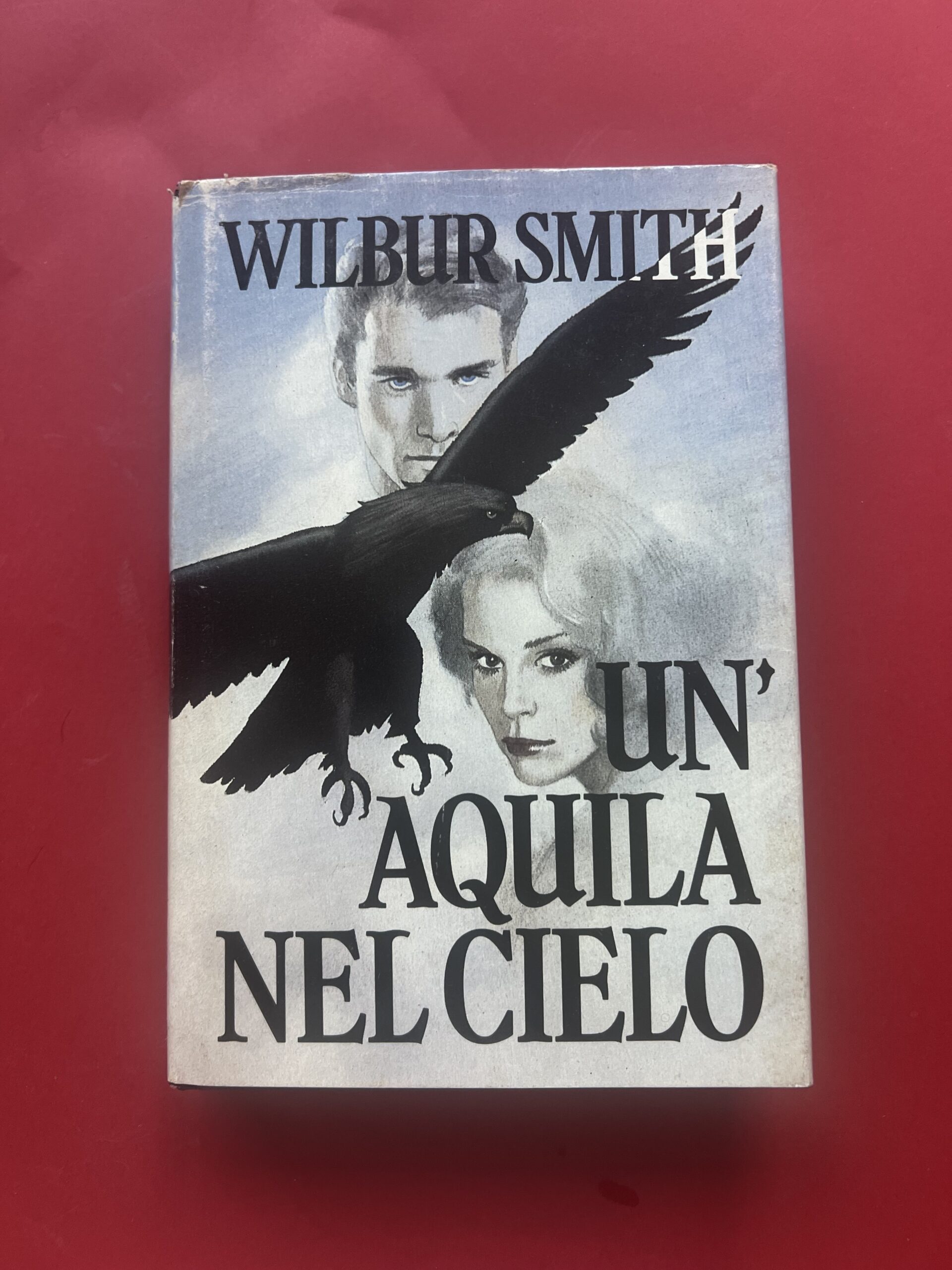 Un'aquila nel cielo - Wilbur Smith