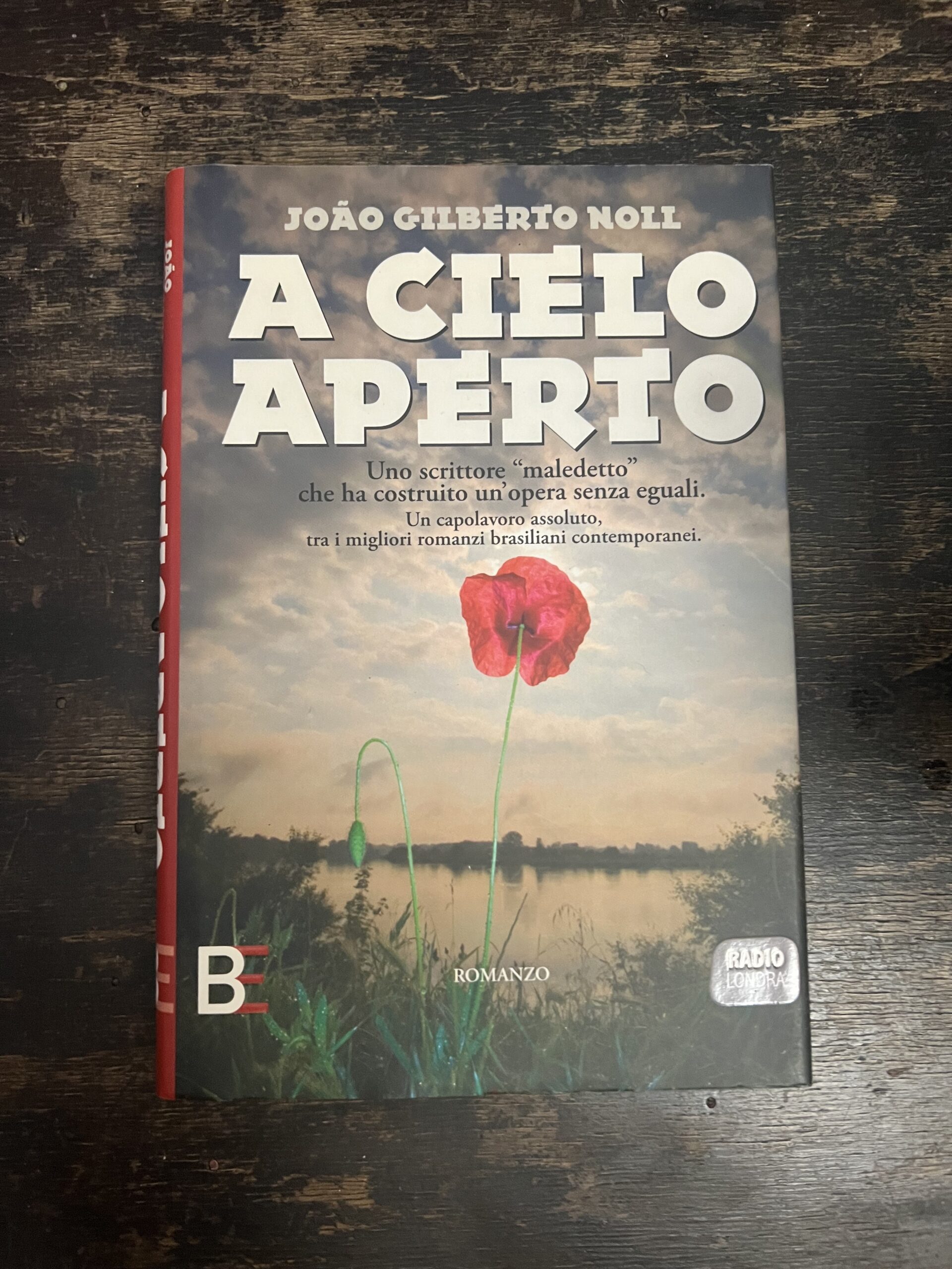 A cielo aperto - João Gilberto Noll