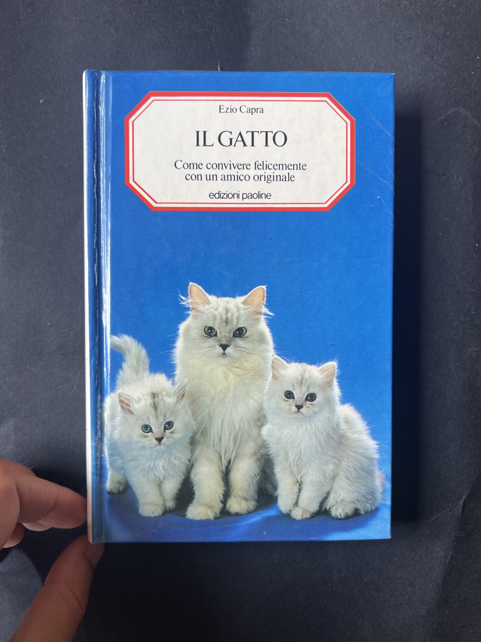 Manuale